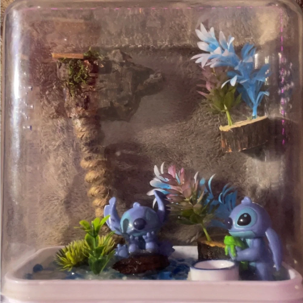 Custom jumping spiders enclosure